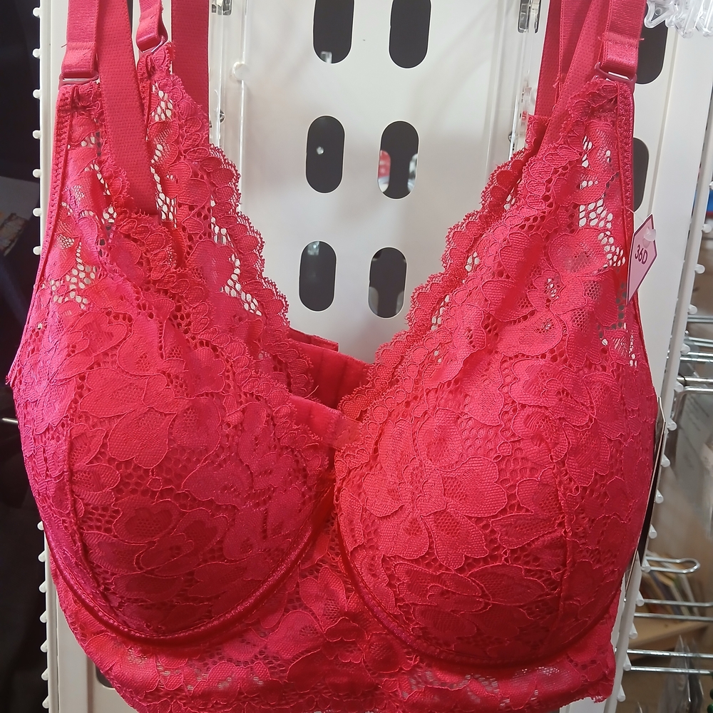 Chic Scarlet Lace Bra